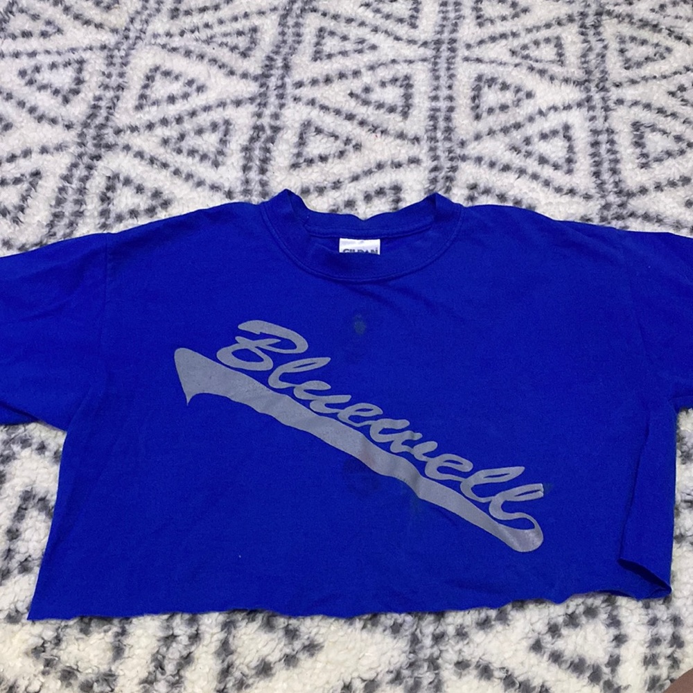 Blue crop top